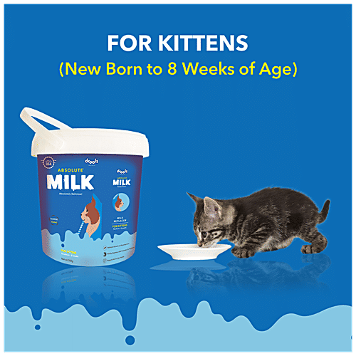Buy Drools Absolute Milk Replacer For Newborn Kittens, Rich In