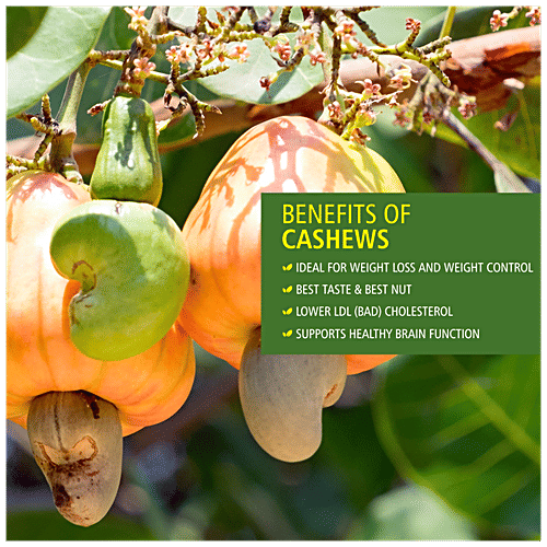 Buy Everyday Four Cashew Nuts Rich In Vitamins & Essential Minerals, Low Cholesterol Online at