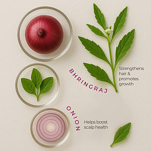 Naturali Hair Fall Arrest Shampoo - Reduces Hair Fall By Boosting Scalp Health, Red Onion & Bhringraj, 200 ml