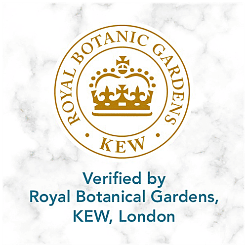 Herbal Essences Argan Oil Of Morocco Shampoo - For Hair Repair & No Frizz, No Paraben, No Colorants, 240 ml