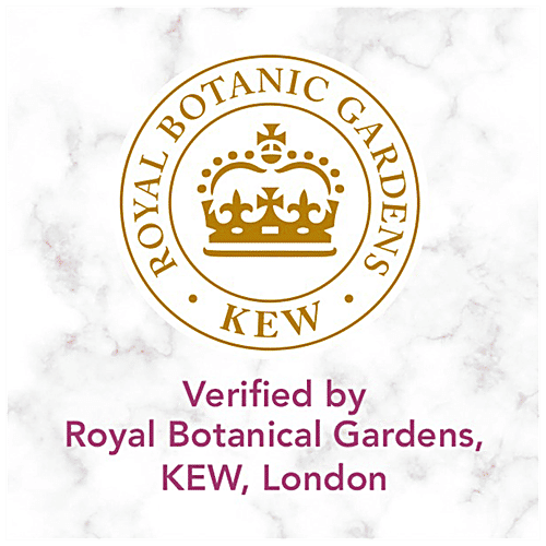 Herbal Essences White Strawberry & Sweet Mint Conditioner - For Cleansing & Volume, No Paraben, No Colorants, 240 ml  