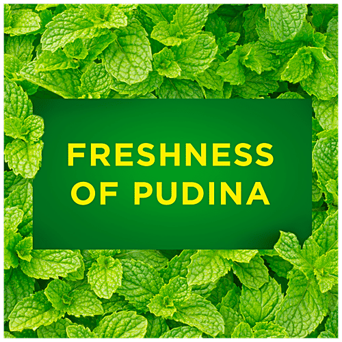 Buy Vim Extra Anti Smell Dishwashing Liquid With Pudina, Removes