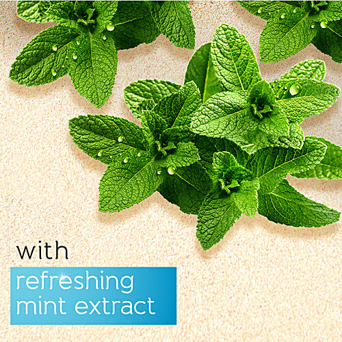 Buy Pears Soft & Fresh Shower Gel Glycerine, Mint Extract, Paraben