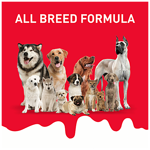 Buy Drools Absolute Milk Bone Dog Treat High In Calcium, Cleans Teeth