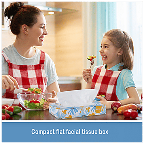 Buy Kleenex Facial Tissues 2 Ply, 100 Virgin Pulp, Absorbent, Lint