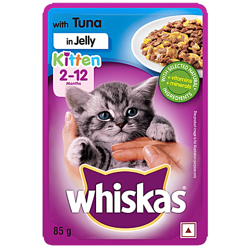 Whiskas Wet Cat Food - Kitten, 2-12 Months, Tuna In Jelly, 85 g (Pack of 12) 