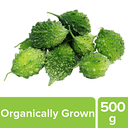 Buy fresho! Bitter Gourd Forest Organically Grown Online at Best