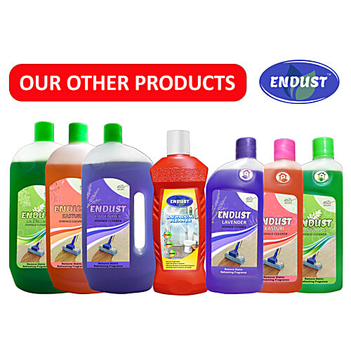 Buy Endust Toilet & Urinal Cleaner Disinfectant Liquid, For Germ