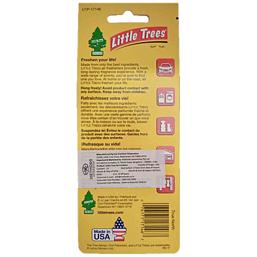 Little Trees Air Freshener - True North, Provides Long Lasting Fragrance, 1 pc  