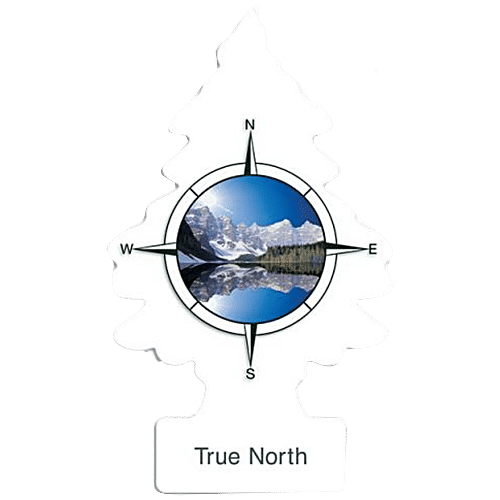 Little Trees Air Freshener - True North, Provides Long Lasting Fragrance, 1 pc  