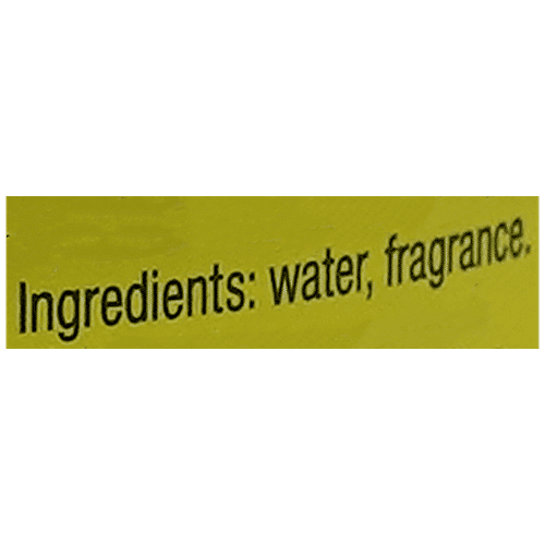 Little Trees Black Ice Scent Air Freshener For Vehicle - Aromatic & Natural, Smell Of Woods, Product Of USA, 30 g Can