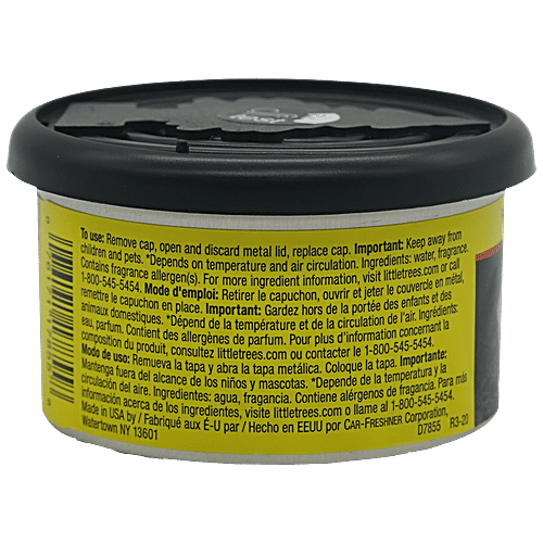 Little Trees Black Ice Scent Air Freshener For Vehicle - Aromatic & Natural, Smell Of Woods, Product Of USA, 30 g Can