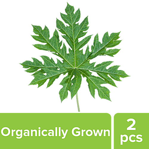 Buy fresho! Papaya Leaf Organically Grown, Rich In Vitamins, Minerals & Potassium Online at