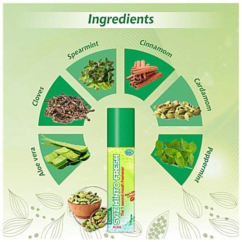 Buy Smyle Sviz Minto Natural Mouth Freshener Reduces Bad Breath