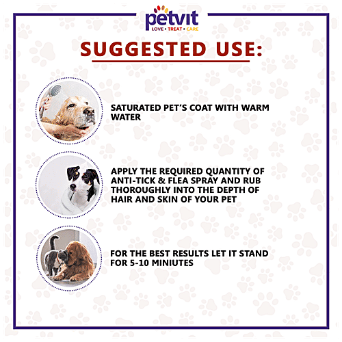 What Should My Dogs Ph Level Be