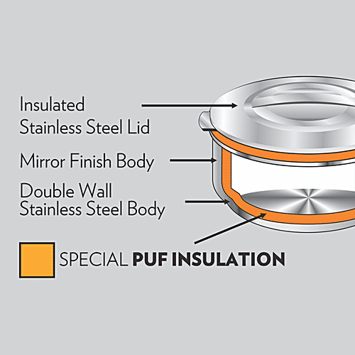 Borosil Stainless Steel Idli Server - Insulated, Airtight, Silver, 3 L (1 pc) 