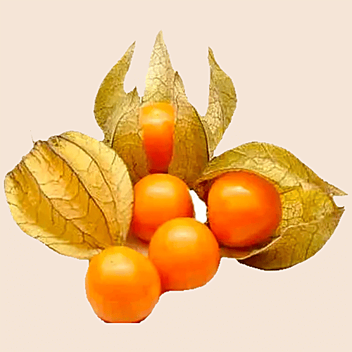 fresho! Golden Berry - Organically Grown, 125 g  