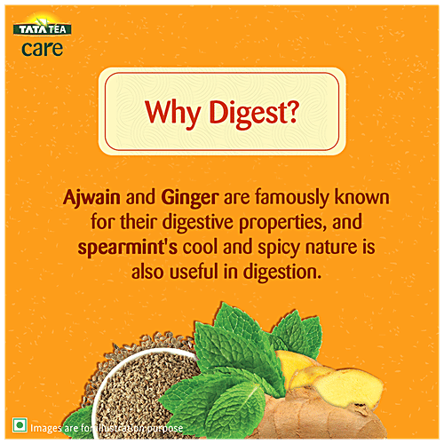 Buy Tata Tea Care Digest Herbal Infusion Green Tea With Pudina