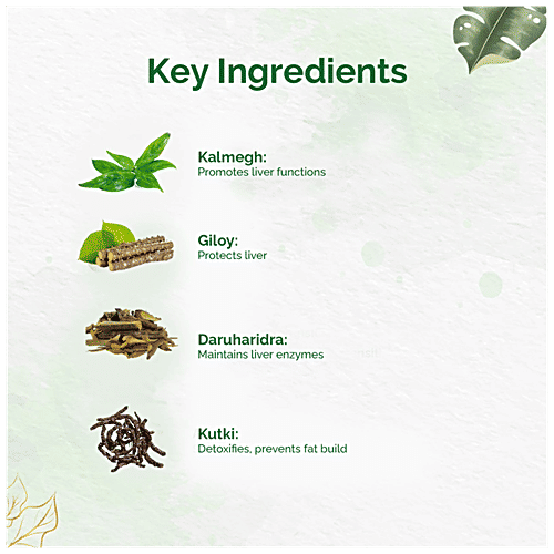 Dr. Vaidyas Liver Care Capsules - Glioy Extract, Ayurvedic, Helps Reduce Fat, Protects From Toxin Drugs, 30 pcs  