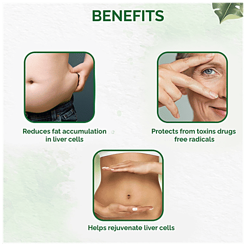 Dr. Vaidyas Liver Care Capsules - Glioy Extract, Ayurvedic, Helps Reduce Fat, Protects From Toxin Drugs, 30 pcs  