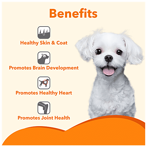 Drools Absolute Salmon Oil - Dog Supplement, Supports Healthy Coat & Heart, For All Breeds, 300 ml Jar