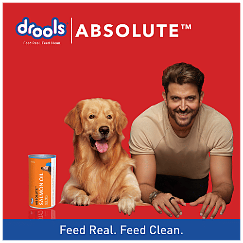 Drools Absolute Salmon Oil - Dog Supplement, Supports Healthy Coat & Heart, For All Breeds, 300 ml Jar