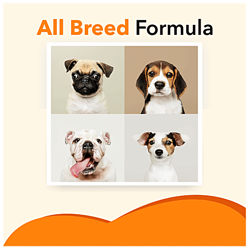 Drools Absolute Salmon Oil - Dog Supplement, Supports Healthy Coat & Heart, For All Breeds, 300 ml Jar