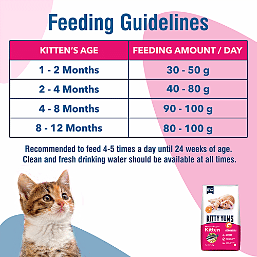 Kitty Yums Kitten Dry Cat Food - Ocean Fish, Sardine & Mackerel, Complete Nutrition, For 1-12 Months, 50 g