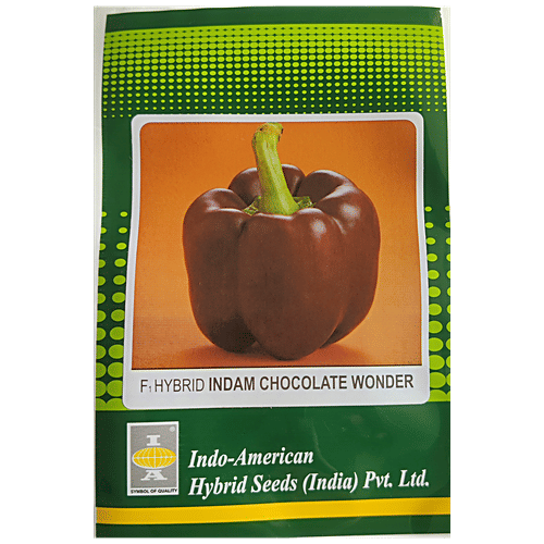 Indo American Hybrid Seeds (India) Pvt. Ltd. Capsicum Indam Chocolate Wonder Seeds - Hybrid, High Yield, For Farms, Kitchen Garden, 1 pc 25 Seeds 