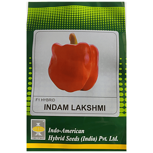Indo American Hybrid Seeds (India) Pvt. Ltd. Capsicum Seeds - Indam Lakshmi Hybrid, High Yield, For Farms, Kitchen Garden, 1 pc 25 Seeds 