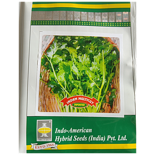 Indo American Hybrid Seeds (India) Pvt. Ltd. Coriander Seeds - Indam Multi Cut OP, High Yield, For Farms, Kitchen Garden, 1 pc 100 Seeds 