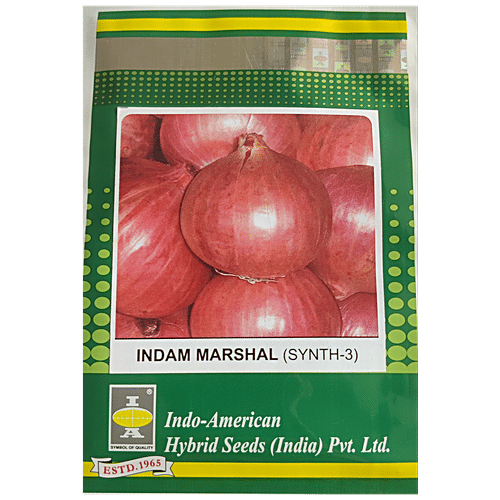 Indo American Hybrid Seeds (India) Pvt. Ltd. Onion Seeds -  Indam Marshal Synth-3 OP, High Yield, For Farms, Kitchen Garden, 1 pc 100 Seeds 