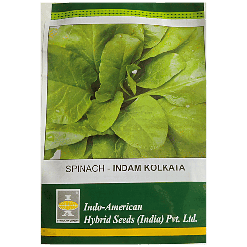 Indo American Hybrid Seeds (India) Pvt. Ltd. Spinach Indam Kolkata OP Seeds - High Yield, For Farms, Kitchen Garden, 1 pc 100 Seeds 