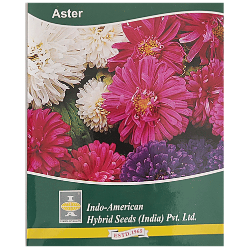 Indo American Hybrid Seeds (India) Pvt. Ltd. Aster Pot "n" Patio Mixed Seeds - Flowering Plant, High Yield, For Gardening Use, 1 pc 25 Seeds 
