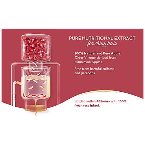 Wow Skin Science Wowsome Twosome Hair Care Combo Kit - Apple Cider Vinegar Shampoo + Coconut, Avocado Oil & Wheat Protein Conditioner, 2 pcs (300 ml each) 