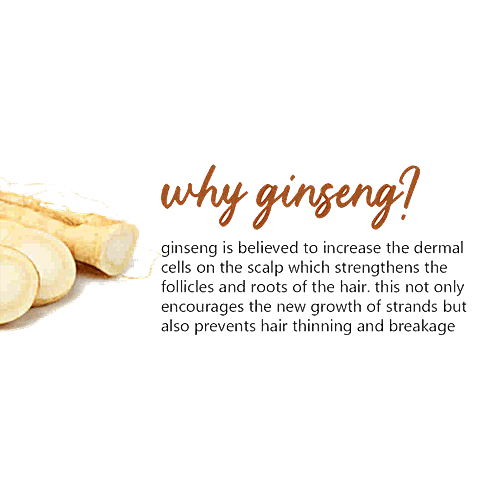 Plum Ginseng Soft Boost Conditioner - Fragrance Free, Repairs & Nourishes Hair, 200 ml  