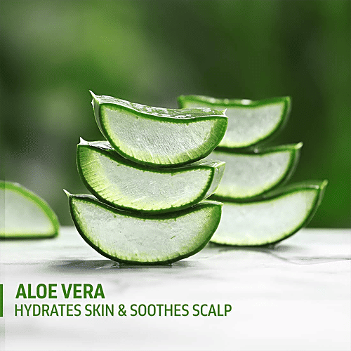 Phy Aloe Vera Gel Hydrator - Vegan, Cruelty-Free, Soothes & Calms The Skin, 290 ml  