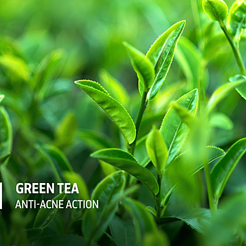 Phy Green Tea Face Wash - Sulphate Free, Fights Acne, Oil Control, Skin Brightening, 120 ml  