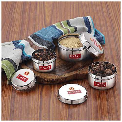 Buy HAZEL Stainless Steel Mini Containers Heavy Gauge,Premium