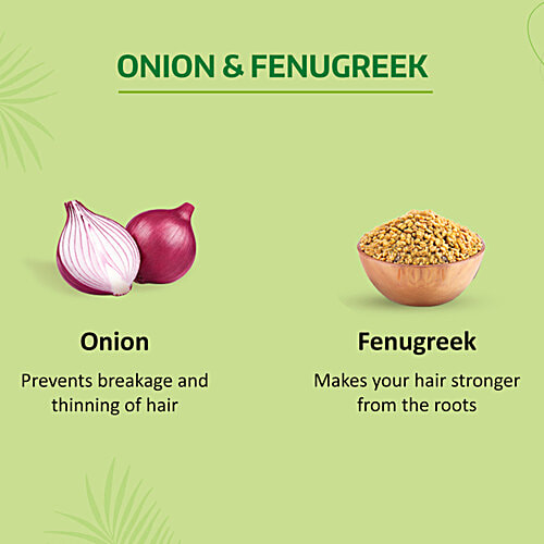 Nyle Naturals Onion Anti-Dandruff Shampoo - With Methi, 400 ml  Gentle & Soft