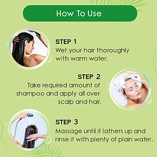 Nyle Naturals Onion Anti-Dandruff Shampoo - With Methi, 400 ml  Gentle & Soft