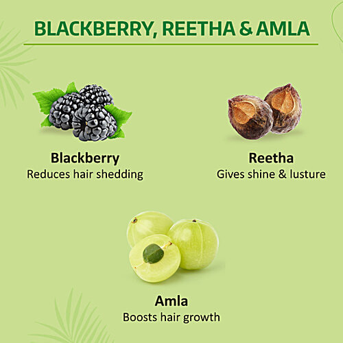 Nyle Naturals Volume Enhance Shampoo - With Reetha & Blackberry, 180 ml  Gentle & Soft