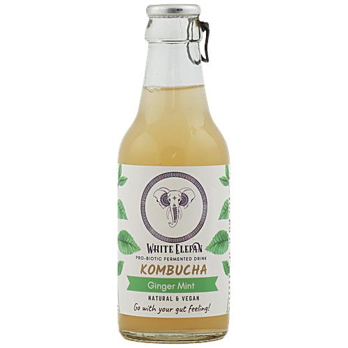 Buy White Elefan Kombucha Probiotic Fermented Drink Ginger Mint, Vegan, For Gut Health Online
