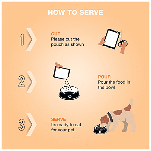 Buy Benny's Bowl Delicious Fresh Dog Food Chicken & Pumpkin Recipe