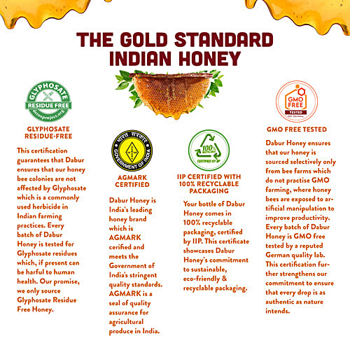 Dabur Honey - Squeezy, 100 g  