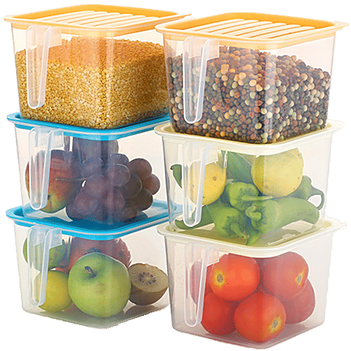 Buy Floraware Airtight Kitchen Fridge Organizer/Storage Box With Lid