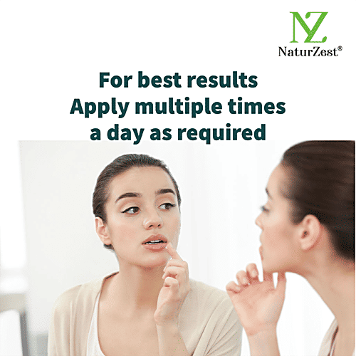 Buy NaturZest Vanilla Lip Balm Rosemary Extract, Natural, Vegan, No