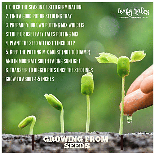 Leafy Tales Flower Seeds - Non-GMO, Easy To Grow, For Gardening, 20 Varieties, 700 pcs  