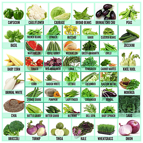 Leafy Tales Indian Fruit & Vegetable Seeds Combo Pack - Easy To Grow, For Gardening, 50 Varieties, 2500 pcs  