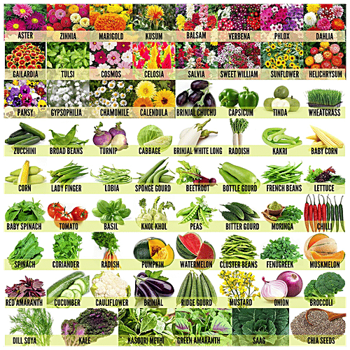 Buy Leafy Tales Flower, Fruit & Vegetable Seeds Combo Pack Easy To Grow, For Gardening, 70